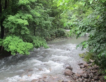 ３５年ぶりのヤマメ 渓流 釣り 北海道浜益川で かたくり日記19 7 28 ラヴィラントのブログ