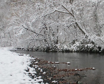 雪の中での渓流釣り 北海道新十津川 浜益 かたくり日記 19 11 9 ラヴィラントのブログ