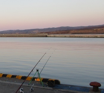 増毛港のホッケ釣り 昨日は大漁だった 北海道留萌地域 日本海 魚釣り 4 18 ラヴィラントのブログ