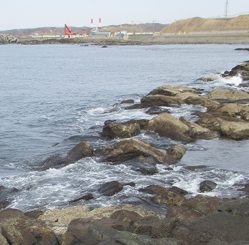 黄金岬北側の先端で オニカジカ が釣れました 北海道留萌 魚釣り 6 21 3 28 ラヴィラントのブログ